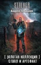 Книга Ствол и артефакт